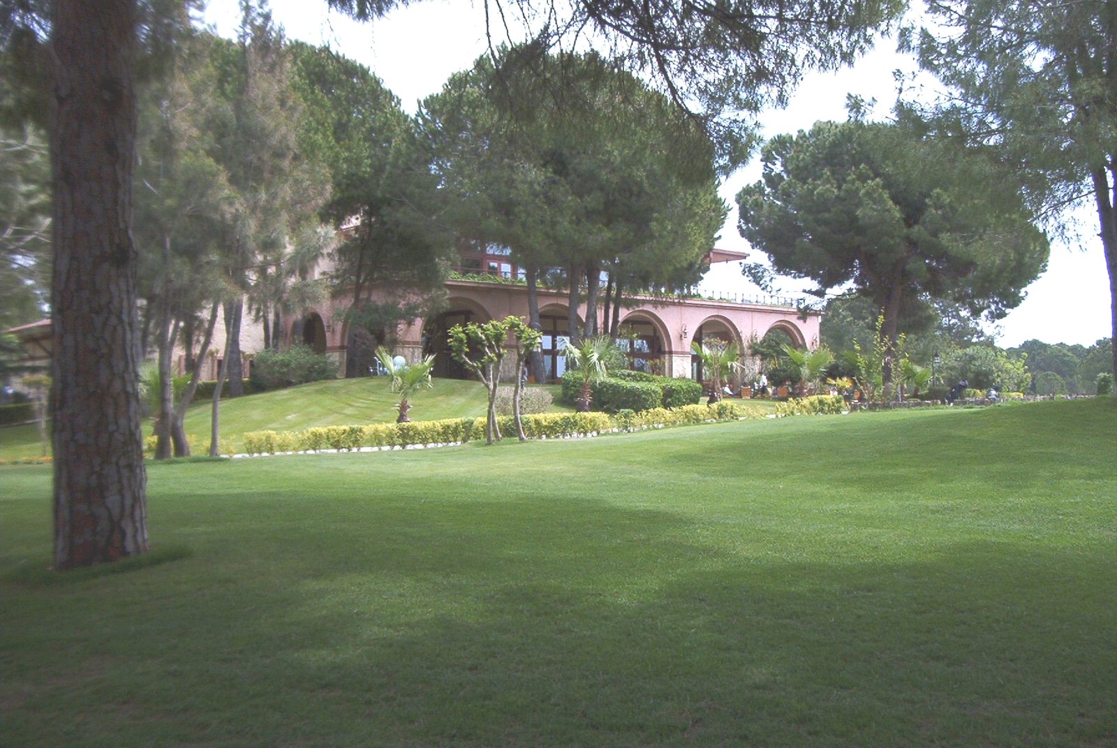 Resortgebouw met gazon en pijnbomen in Belek