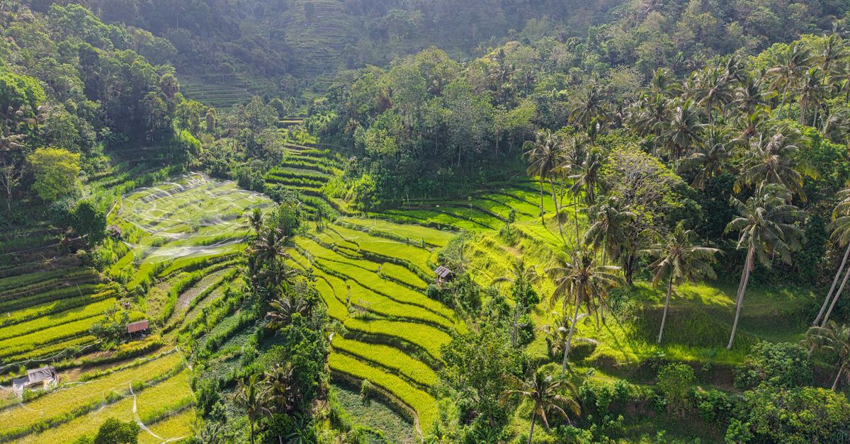 Bali 14 dagen route 2026: Ubud, Canggu, Amed, Nusa Penida