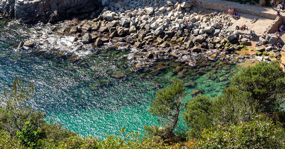 Costa Brava vs Costa Daurada 2026: rotskust of fijn strand