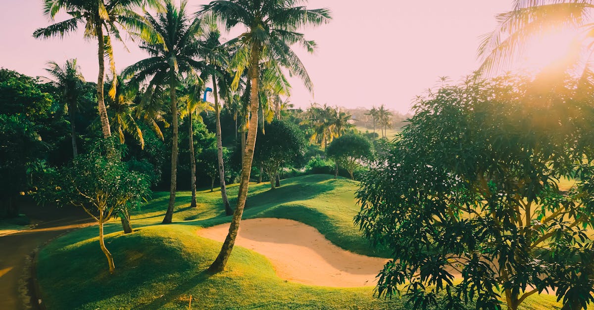 Golfvakantie Algarve 2026: top 10 banen en welk hotel