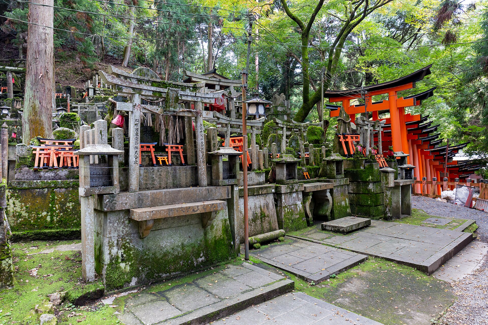 Japan 12 dagen: Tokyo, Kyoto en Osaka met JR Pass (2026)