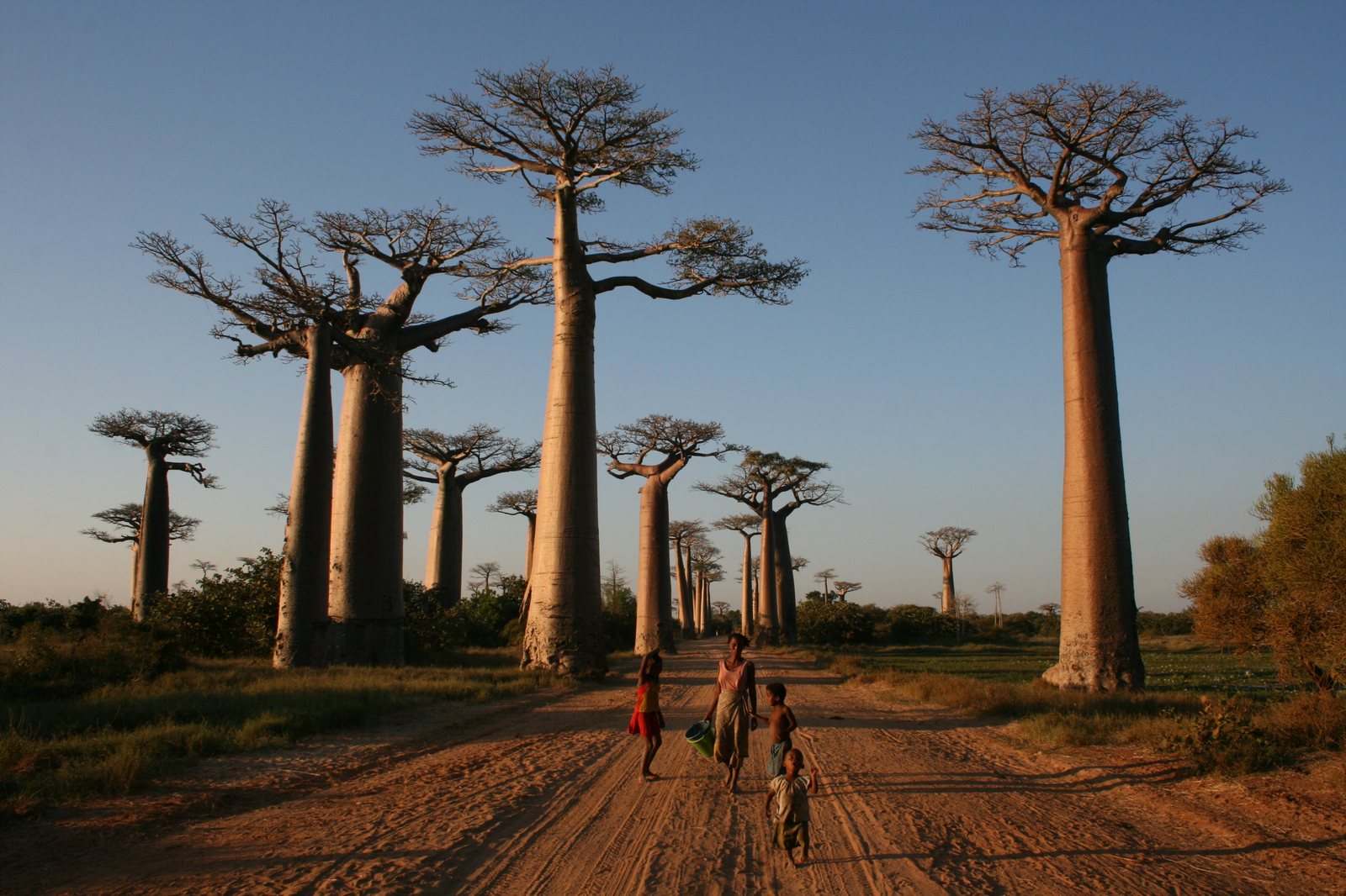 Madagaskar 14-daagse rondreis 2026: avontuur voor liefhebbers