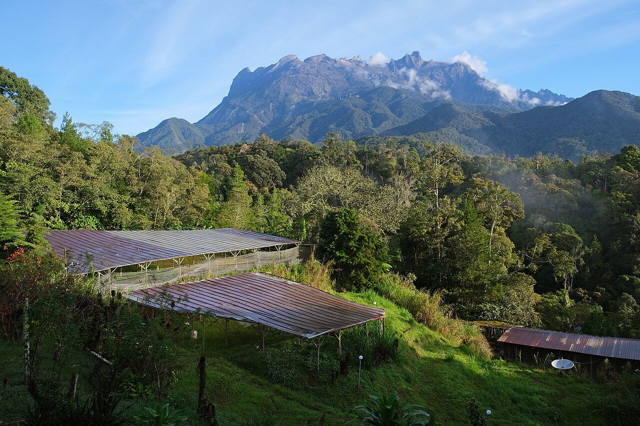 Maleisië Borneo 14 dagen 2026: KL, Kinabalu, Sandakan, Sipadan
