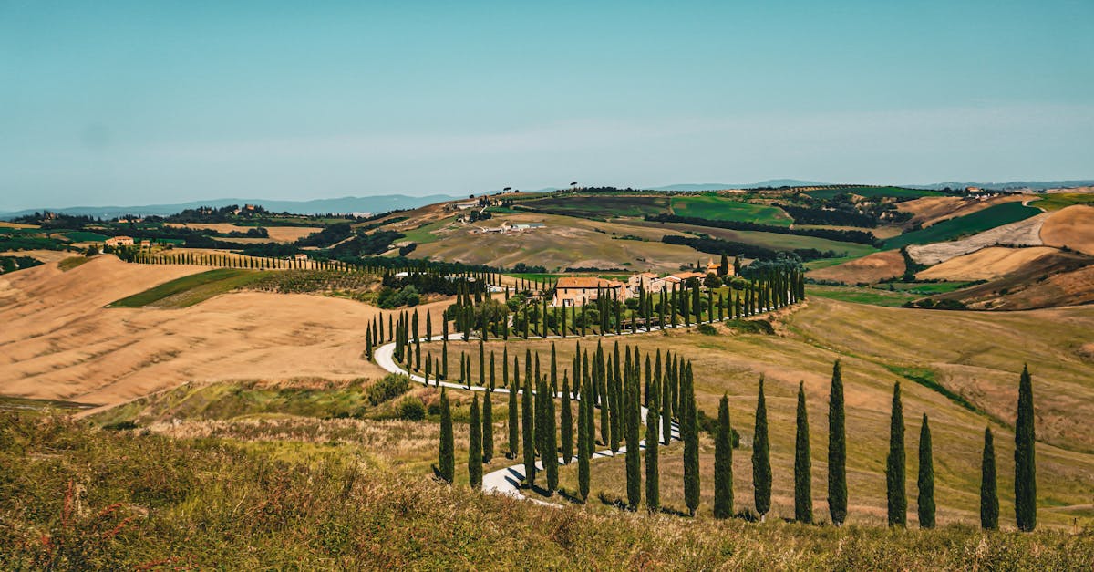 Slingerende cipressenlaan in het Toscaanse heuvellandschap, klassieke roadtrip-foto