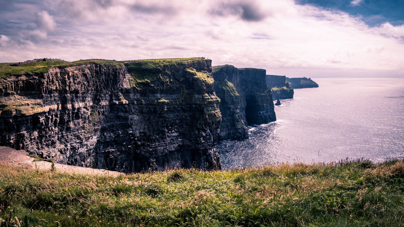 Panoramische blik op de Cliffs of Moher met groen gras en oceaan