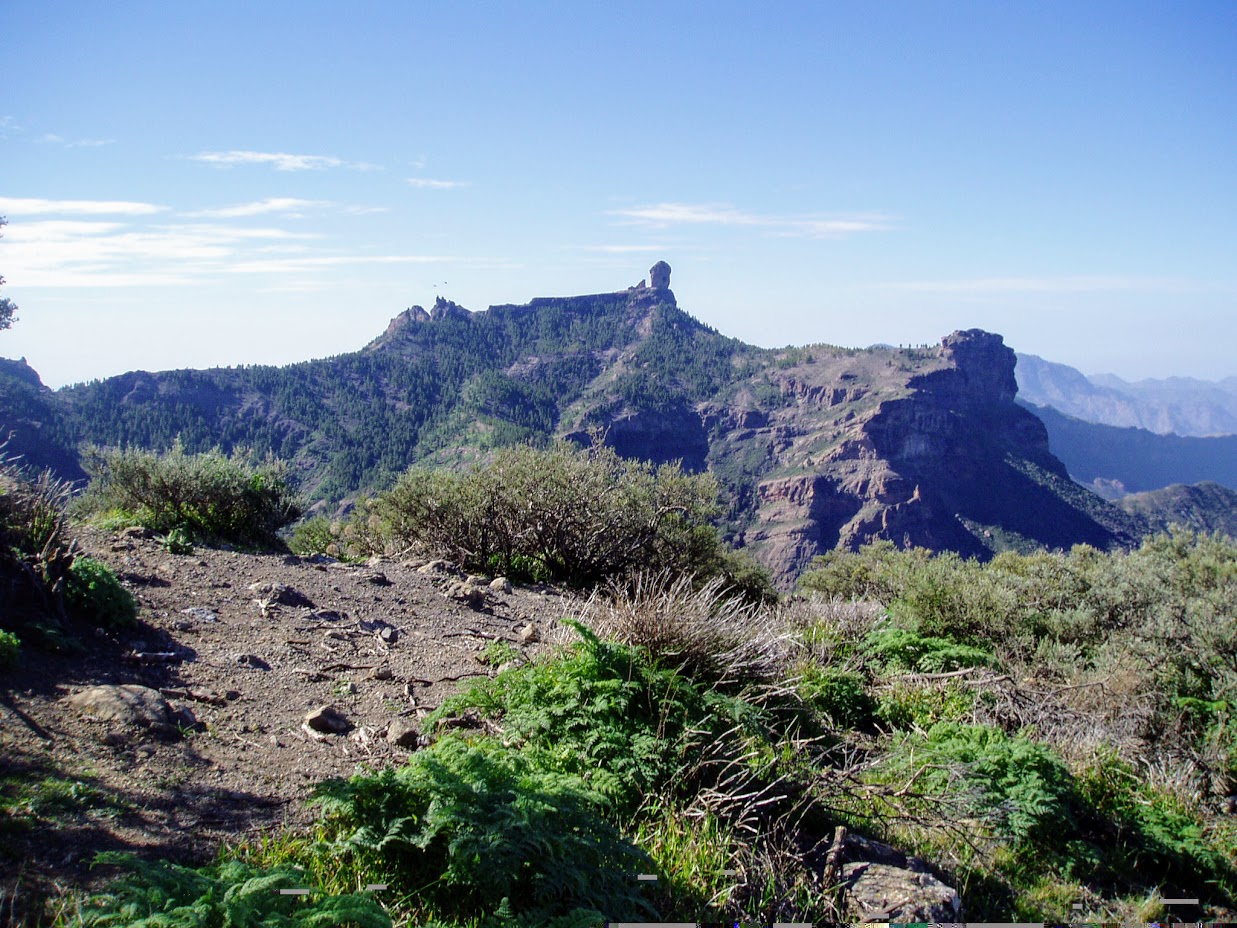 Tenerife of Gran Canaria in 2026? Eerlijke vergelijking