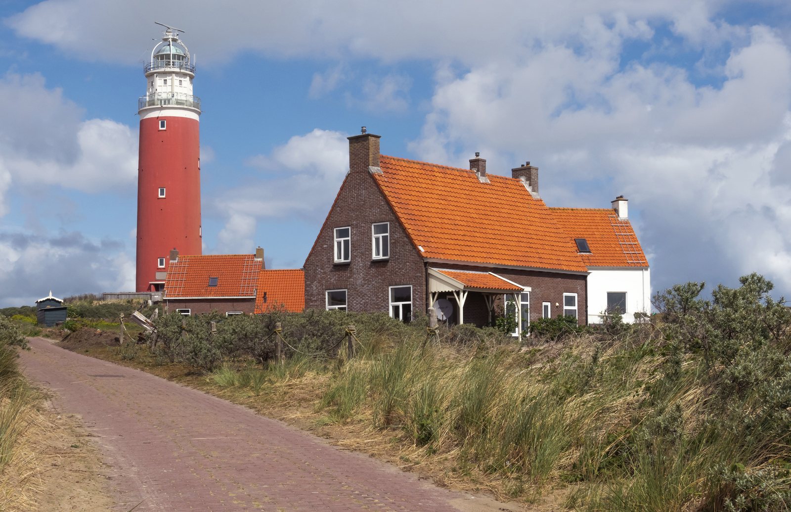 De Cocksdorp, vuurtoren Eierland RM35278 IMG 6024 2020-06-07 11.32