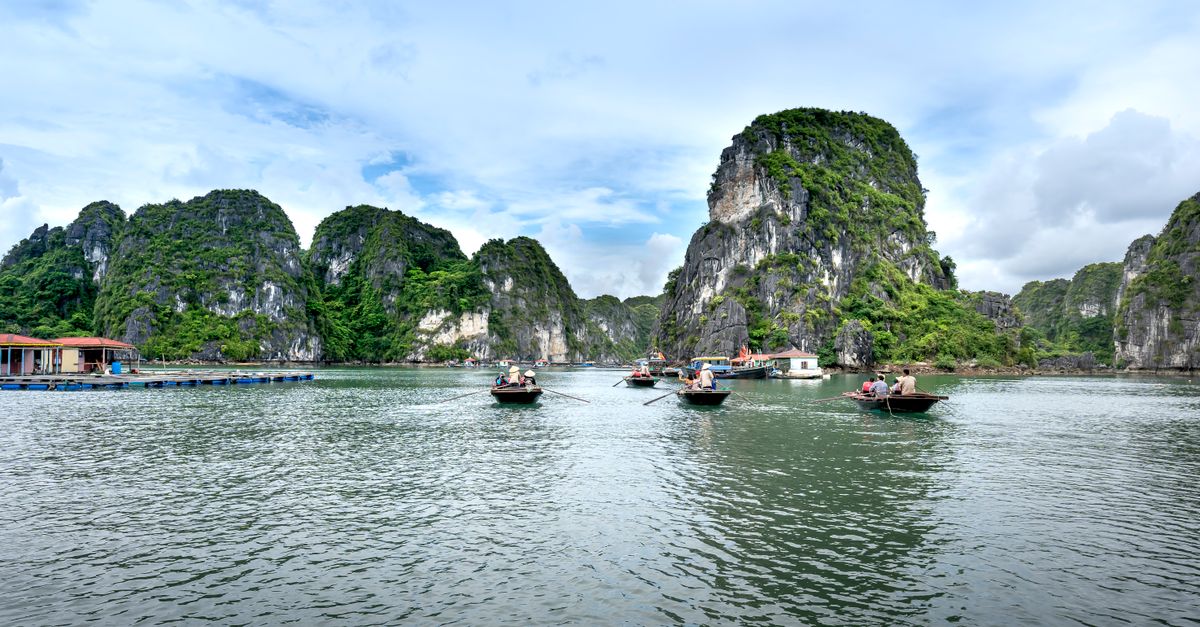 Vietnam Noord 14 dagen 2026: Hanoi, Sapa, Halong route