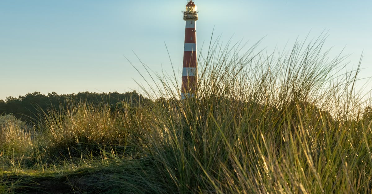 Waddeneilanden rondreis 2026: 5 eilanden in 10 dagen