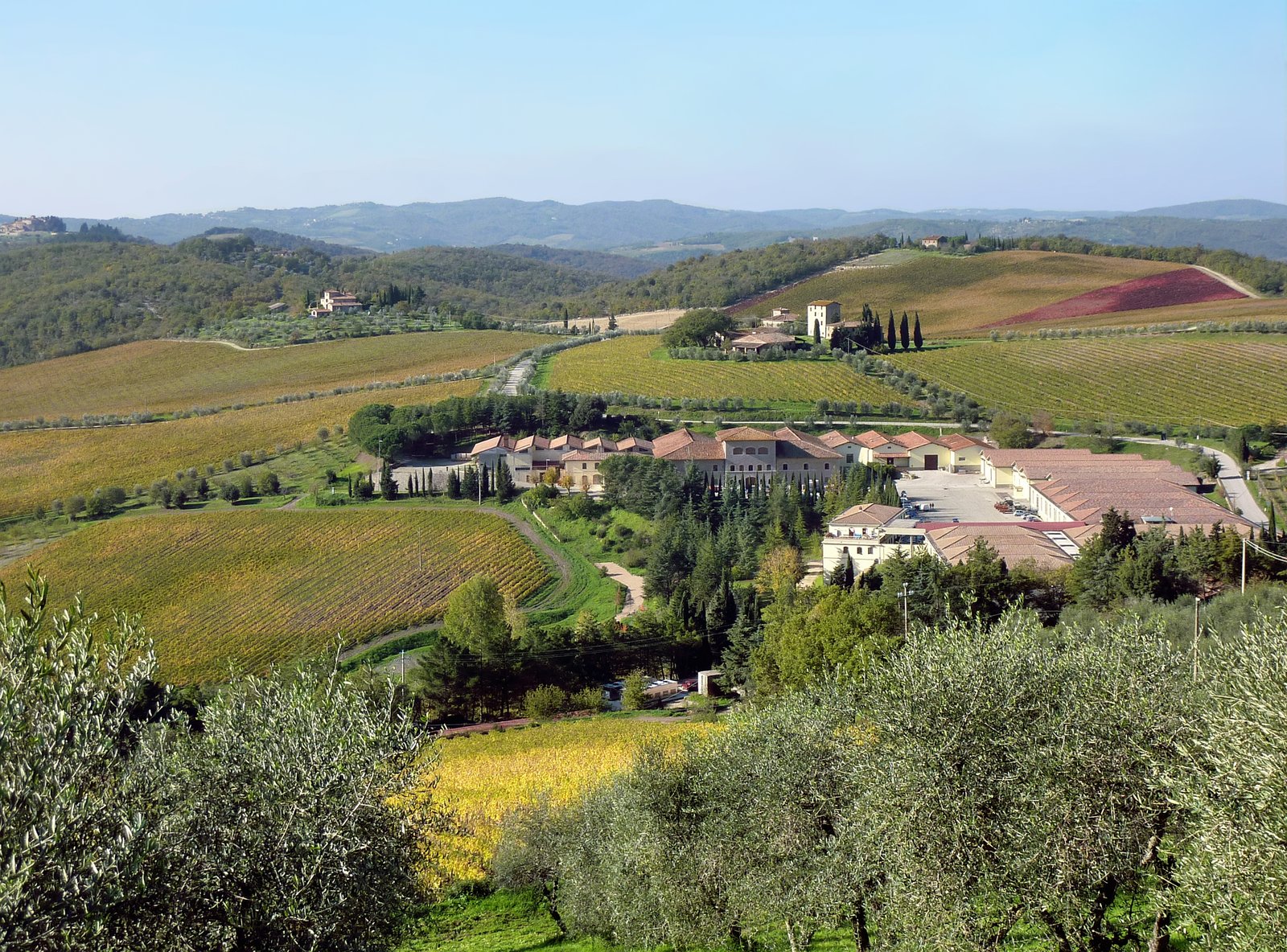 Wijnvakantie Italië 2026: Toscane vs Piemonte vs Veneto Prosecco