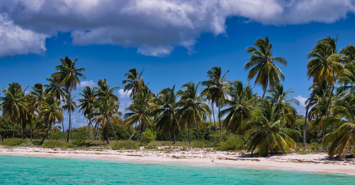 Zonvakantie in december: waar is het warm? (2026)